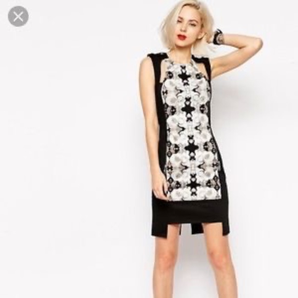L.A.M.B. Dresses & Skirts - L.A.M.B. Gwen Stefani Black Cutout  Photographic Rose Dress Sz 6